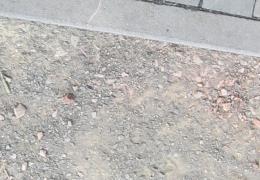 24 h Übung Jugendfeuerwehr