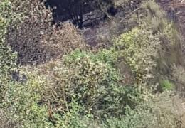 IMG 20180729 WA 0066