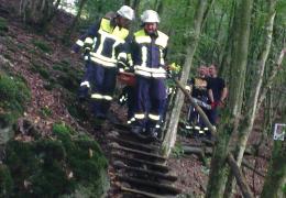 Übung Layensteig Strimmiger Berg