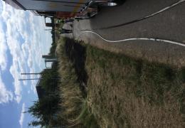 Flächenbrand Biogasanlage