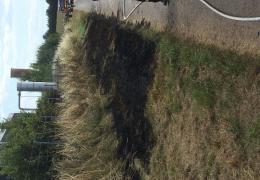 Flächenbrand Biogasanlage