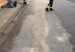 G1 Ölspur Mittelstrimmig Ortsmitte