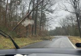 H1.07 Ast auf Fahrbahn, Baum hängt über Fahrbahn