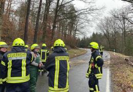 H1.07 Ast auf Fahrbahn, Baum hängt über Fahrbahn